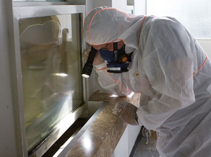 Local Heat Pump Service Providing Reliable Comfort, Energy Savings, and Year-Round Climate Control